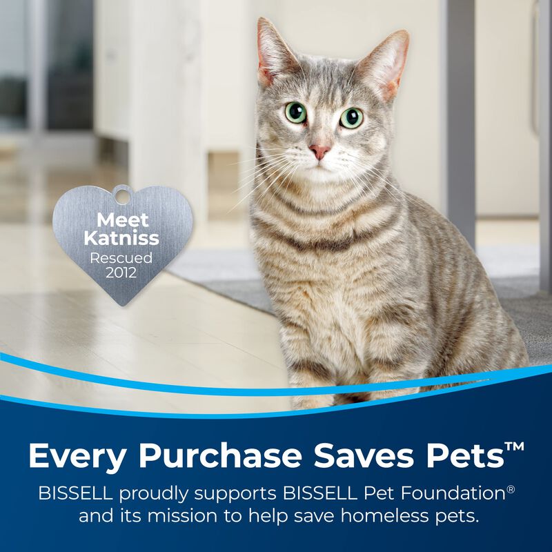 Soluci&oacute;n De Limpieza Bissell Pet Multi-surface,... image number null