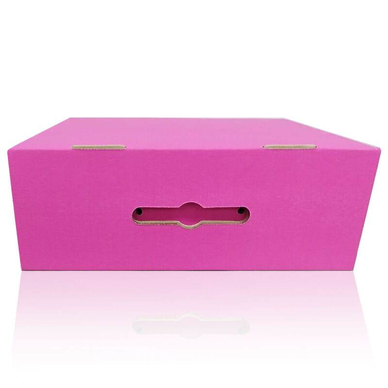 Caja Troq con Agujeta Rosa 30x24x11.5 image number null