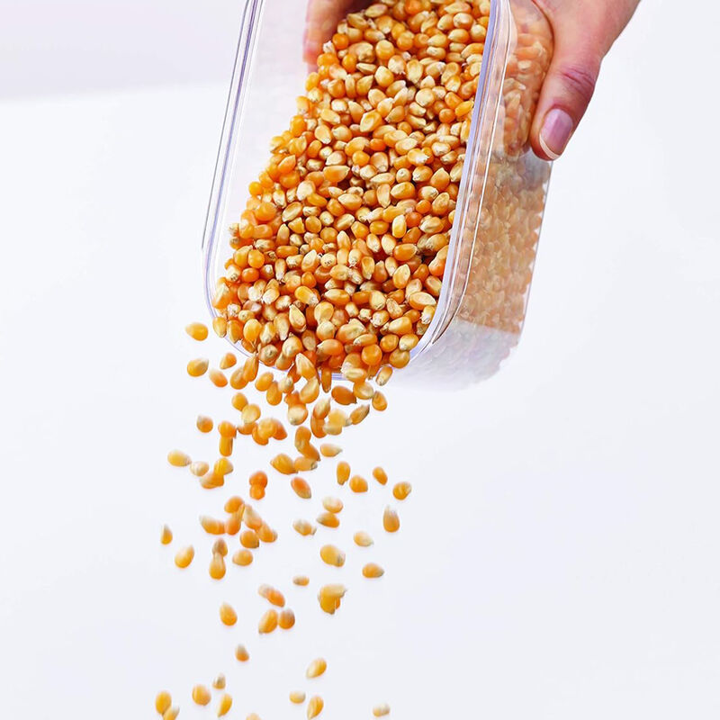 3 Contenedores de Alimentos  Colgantes Aquila 9... image number null