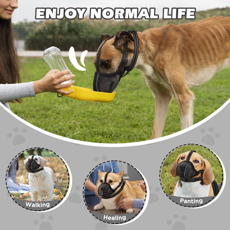 Bozal Para Perro Bonthee De Malla Transpirable ... image number null