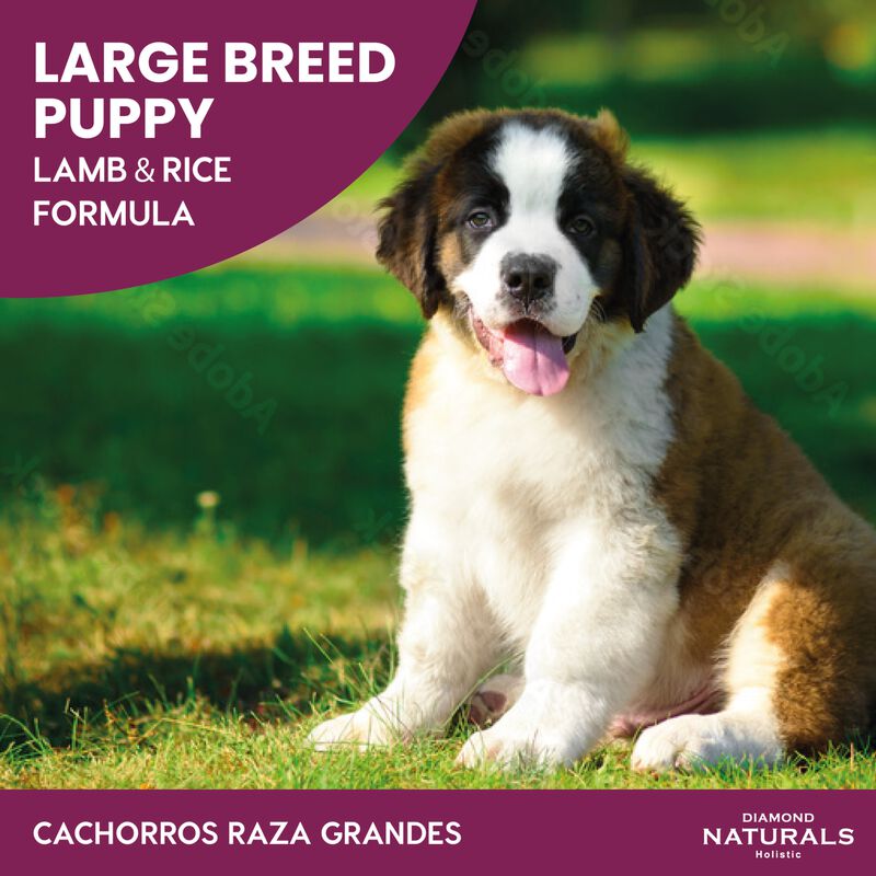 Diamond Naturals Adult Dog Lamb Meal & Rice For... image number null