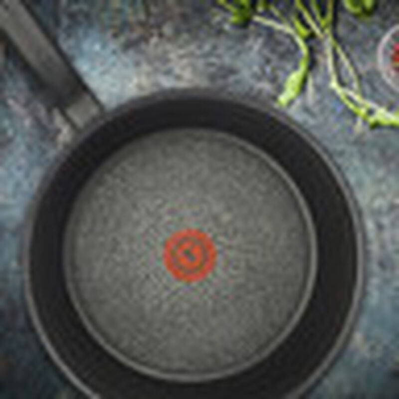 Sartén Hard Titanium 20 cm T- fal image number null