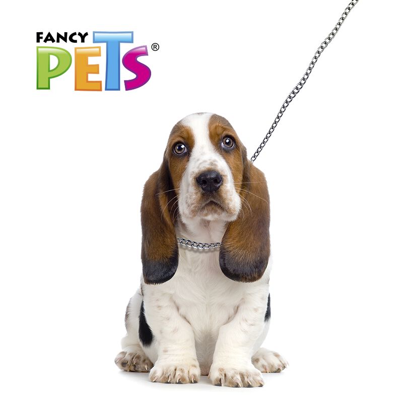 Fancy Pets Collar De Entrenamiento Para Perro D... image number null