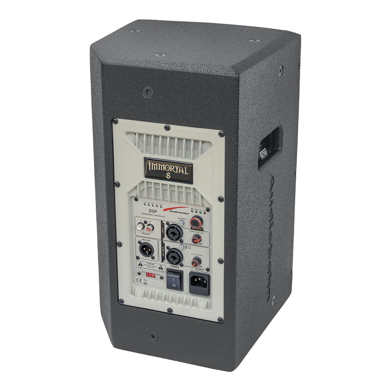 Bocina amplificada profesional 8" 800w Audiobah... image number null
