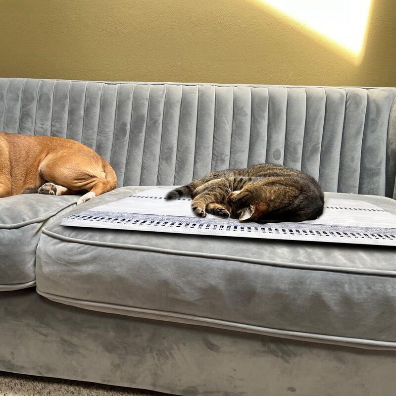 Funda Protectora Para Mascotas Polo One 6 Pack ... image number null