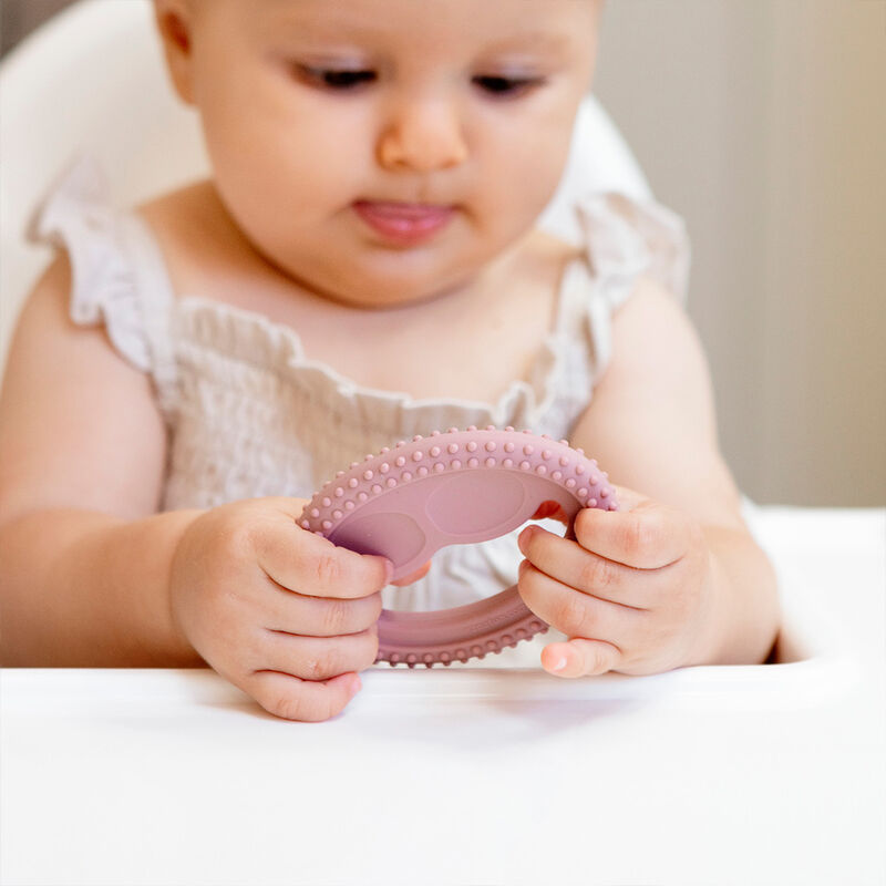 Set De Desarrollo Oral Rosa N&oacute;rdico image number null