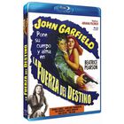 La Fuerza Del Destino [blu-ray] (1948) Force Of Evil