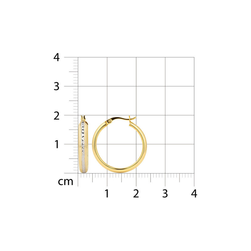Arracadas Oro 10k Con Platinado 20 mm (sku B) |... image number null