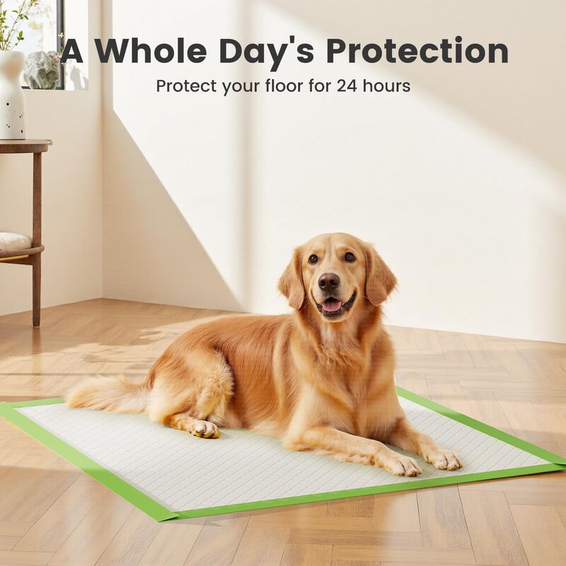 Alfombrillas Absorbentes Para Perros Gardner Pe... image number null