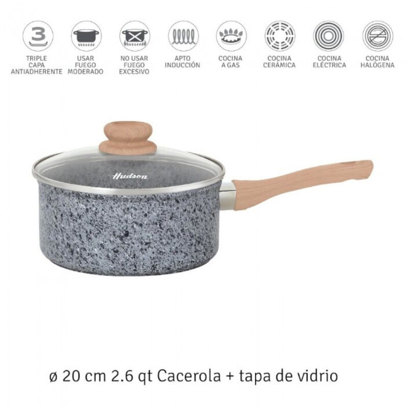 Olla HUDSON 20 cm FGRA10 Aluminio con Tapa de C... image number null