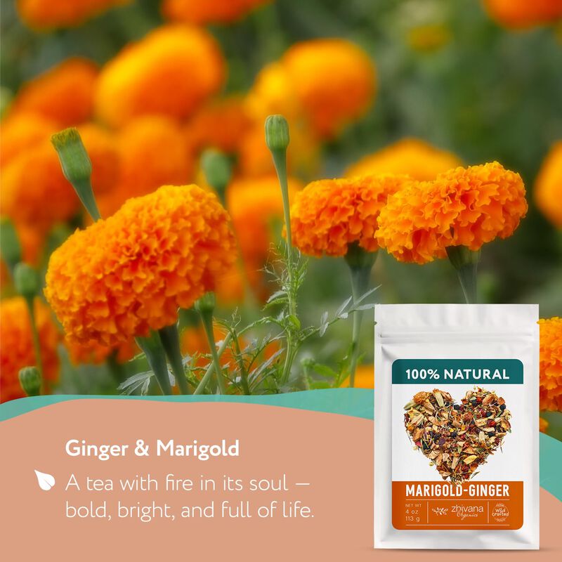 T&eacute; Zhivana Organics 113 g Jengibre Y Cal&eacute;ndula ... image number null