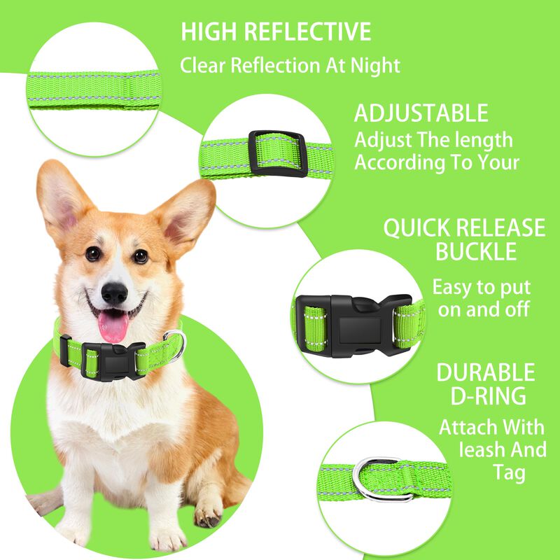 Collar Reflectante Maiiu Para Perro + Correa image number null