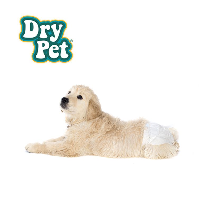 Fancy Pets Pañales Chico Para Perro - 12 Pz image number null