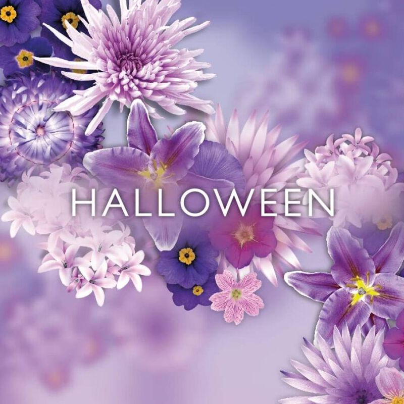 Set de Mujer Jesus del Pozo Halloween 4 Pzs image number null