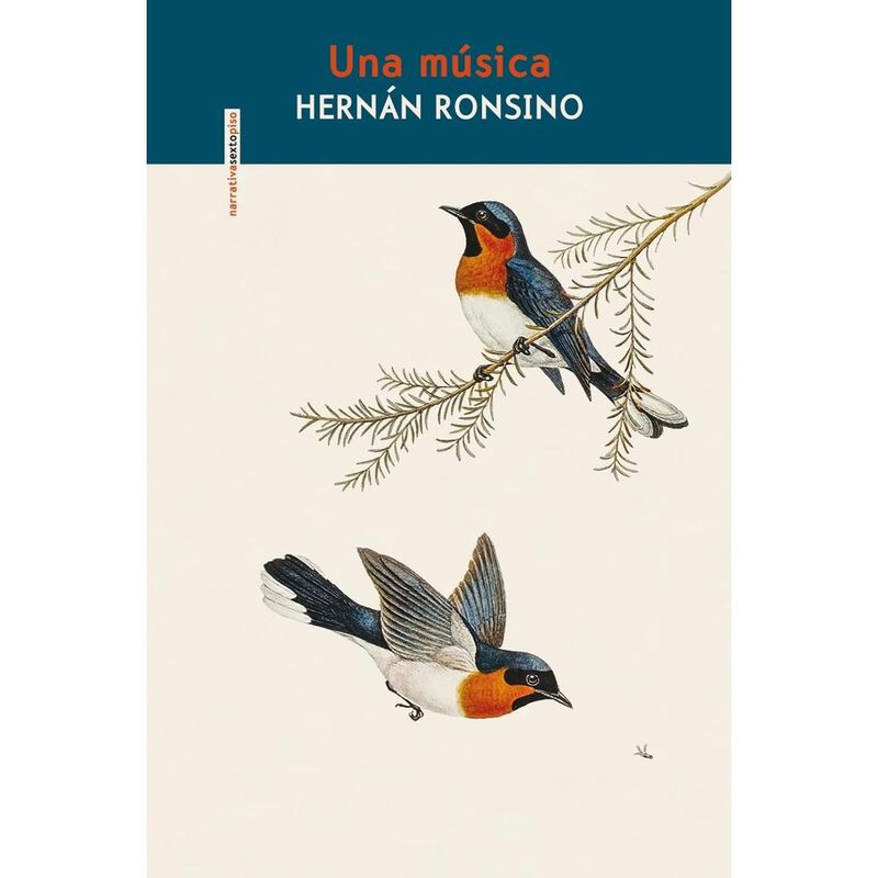 Una m&uacute;sica image number null