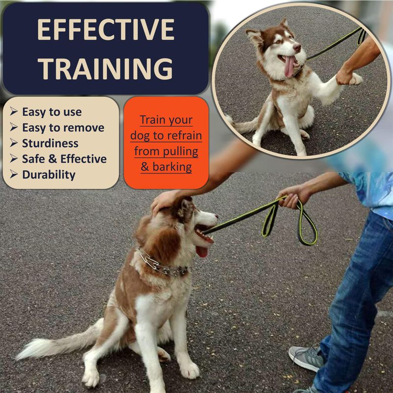 Collar De Entrenamiento Para Perro Deyace Ajust... image number null