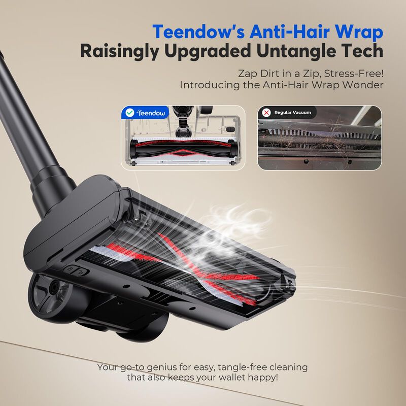 Aspirador Inal&aacute;mbrico Teendow 500w Para Pelo De... image number null