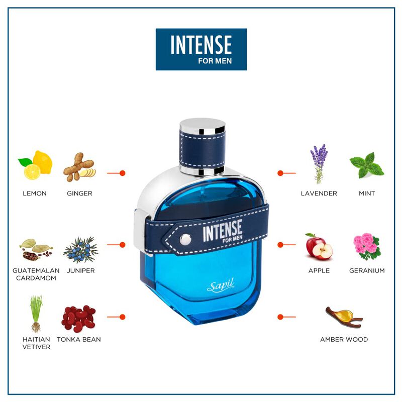 Perfume Sapil Intense Para Hombre Edt 100 Ml image number null
