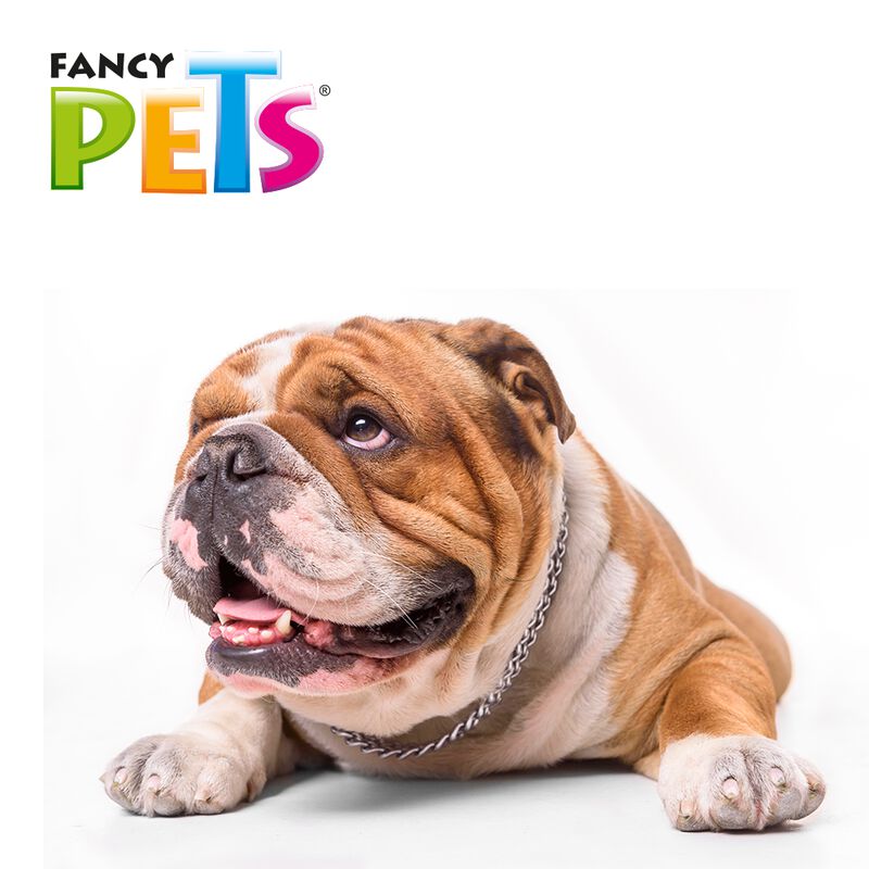 Fancy Pets Collar De Entrenamiento Para Perro D... image number null