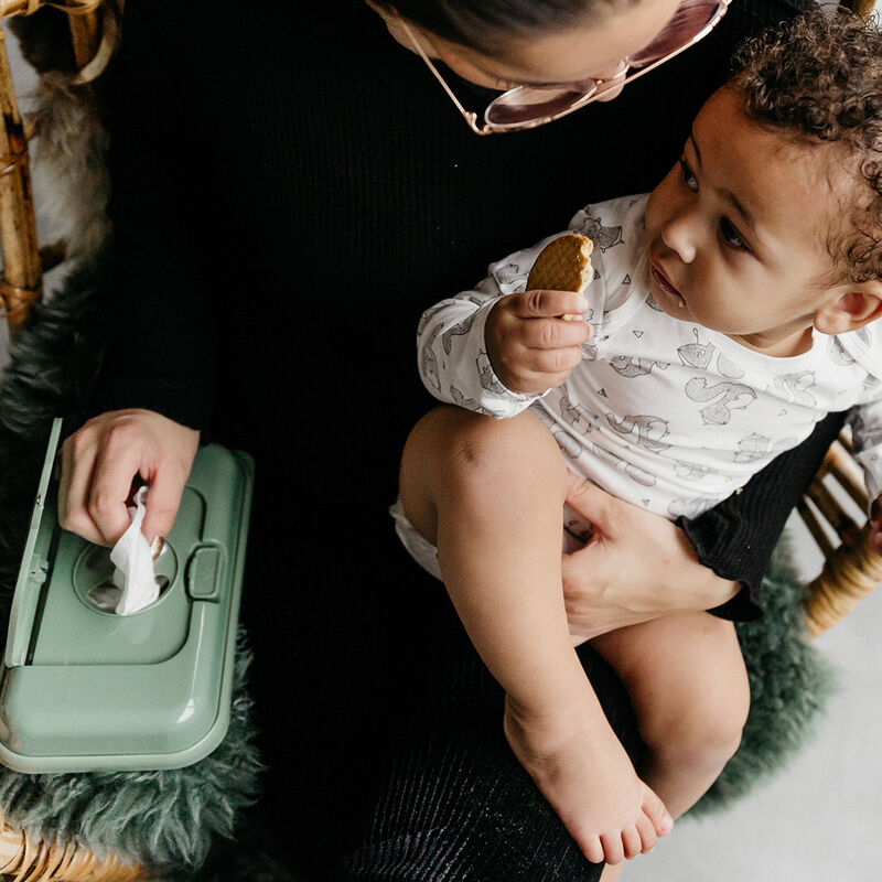 Toallitas Funkybox To Go Menta - Hojas image number null