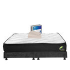 Colch&oacute;n King Size Enzo + Box + 1 Juego De S&aacute;banas Basic