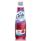 CARIBE COOLER TINTO 300ML - N
