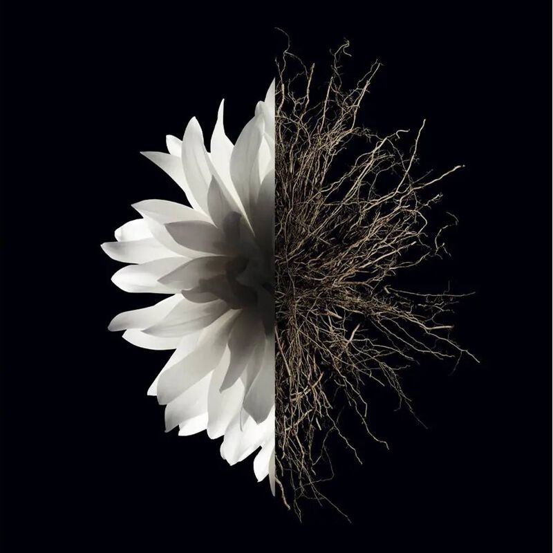 Perfume de Mujer Givenchy L'Interdit 80 Ml Agua... image number null