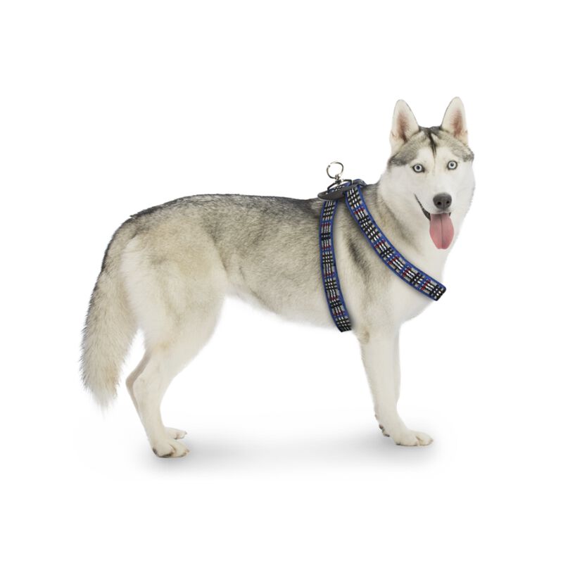 Fancy Pets Arnés Berrydog Color Azul Tamaño Gra... image number null