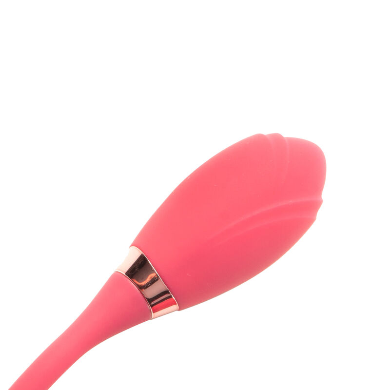 Succionador con Huevo Vibrador Double Motion Ro... image number null
