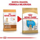 Royal Canin BHN Labrador Puppy 30#,13.63 kg