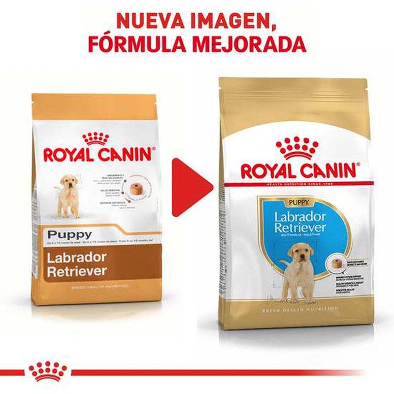 Royal Canin BHN Labrador Puppy 30#,13.63 kg image number null