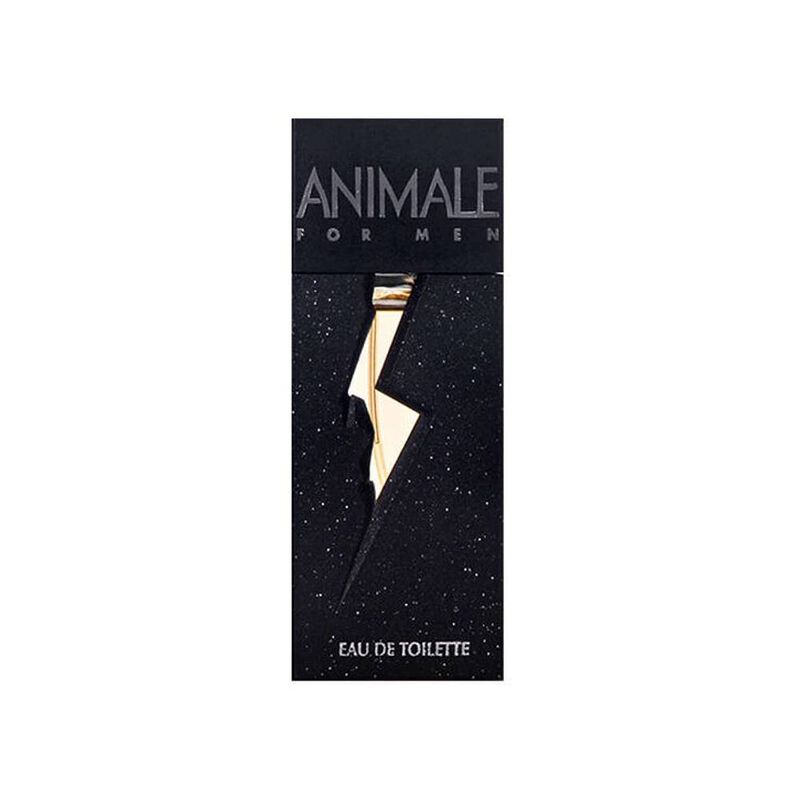 Perfume de Hombre Animale Parfums Animale 100 M... image number null