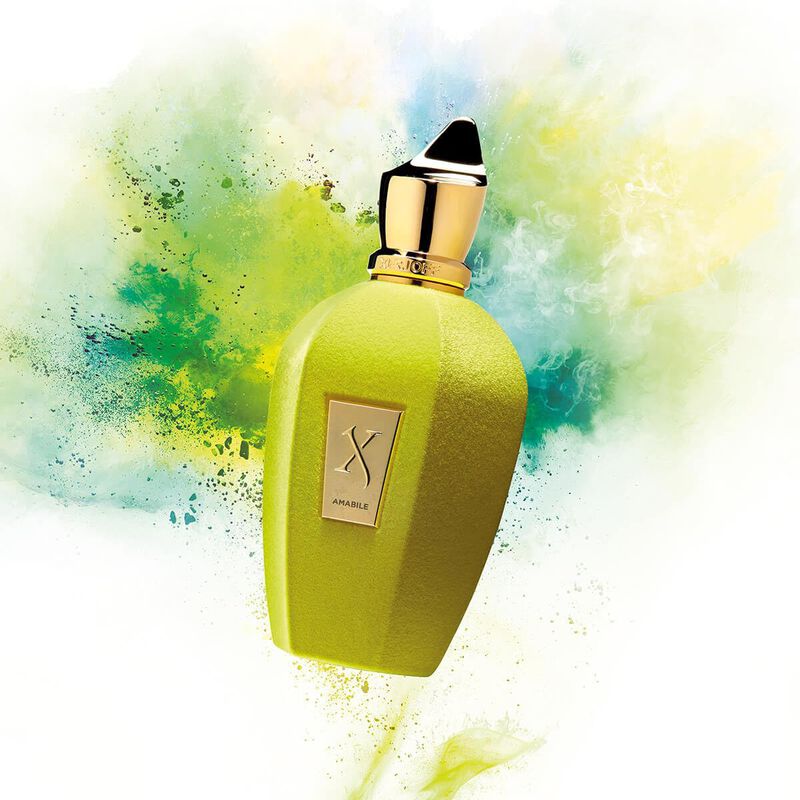 Perfume Xerjoff V Amabile Eau De Parfum Para Un... image number null