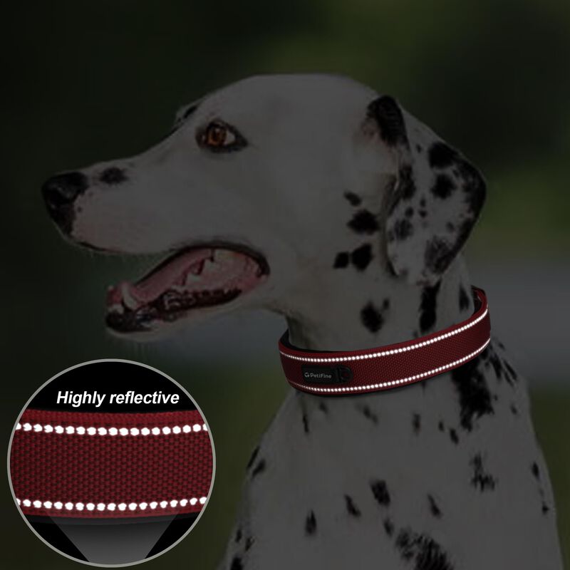 Collar Para Perro Petifine Mediano 36‑48 cm Roj... image number null