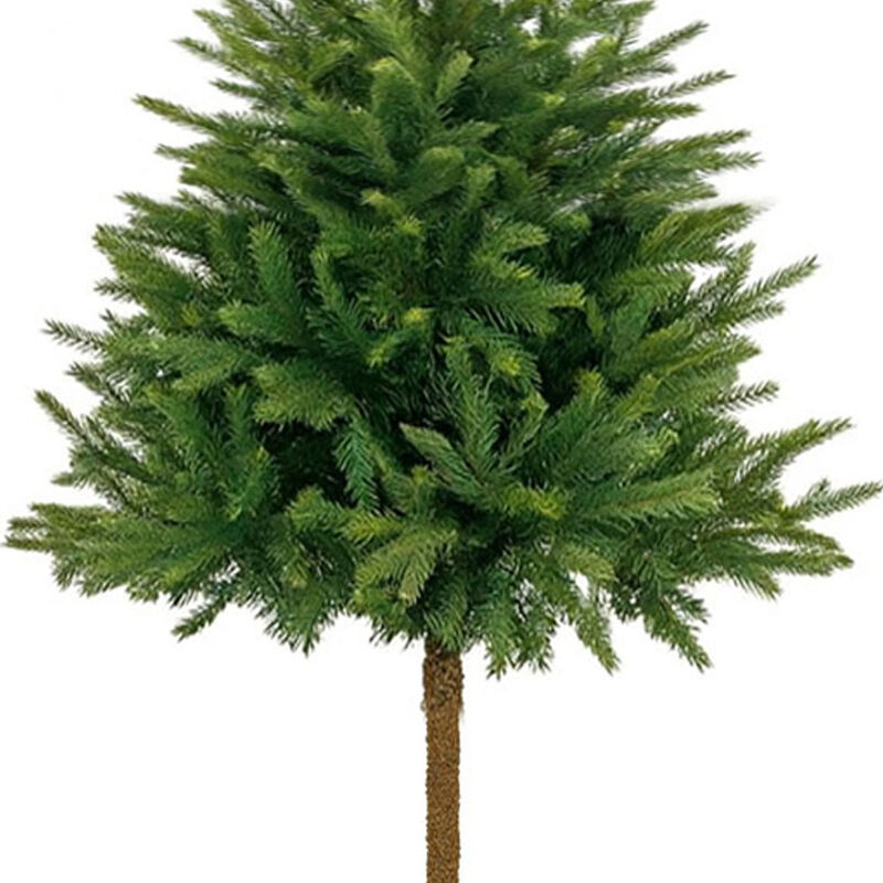 &Aacute;rbol de Navidad Premium Verde Pet Friendly 1.8... image number null