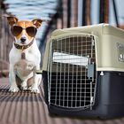 Transportadora para Perros