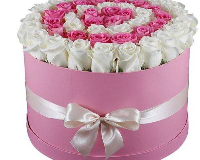 Admiration image number null