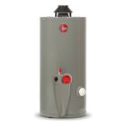 Boiler 38l Gas Natural 1 Servicio Ahorro Seguro Blanco Rheem
