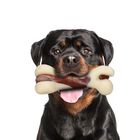 Juguete Masticable Para Perros Tikaton, Hueso De Dentici&oacute;n Duradero Para Masticadores Agresivos