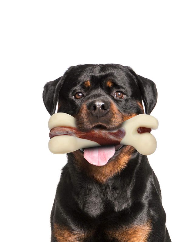 Juguete Masticable Para Perros Tikaton, Hueso D... image number null