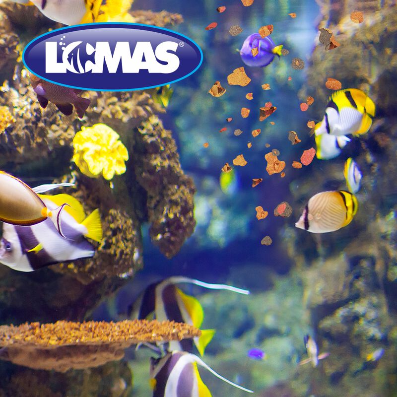 Lomas Hojuelas Premium Alimento Para Peces Con ... image number null