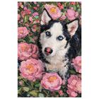 Cuadro Decorativo Impreso 60x80cm Husky