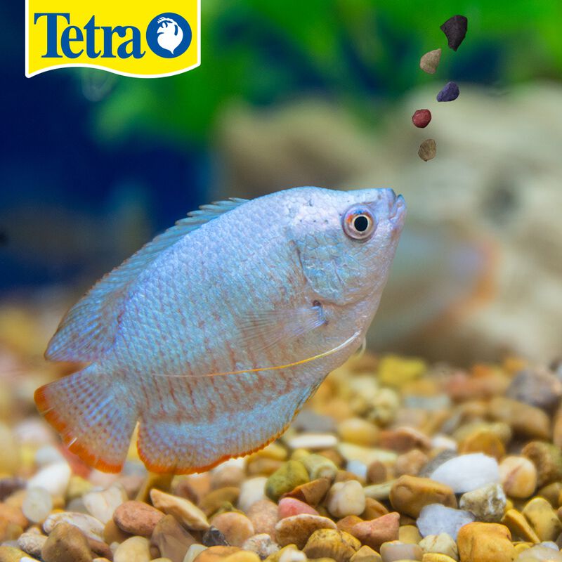 Tetramin Alimento Tropical Gránulado para Peces... image number null