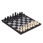 Ajedrez de plástico Casa BIU