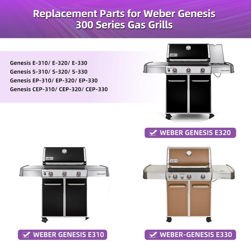 Rejilla para parrilla Dictirdy compatible con W... image number null