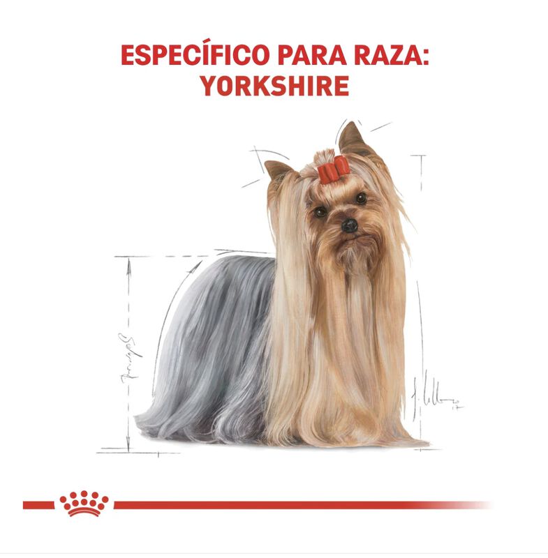 Royal Canin Bhn Yorkshire Terrier 4.55 Kg Origi... image number null
