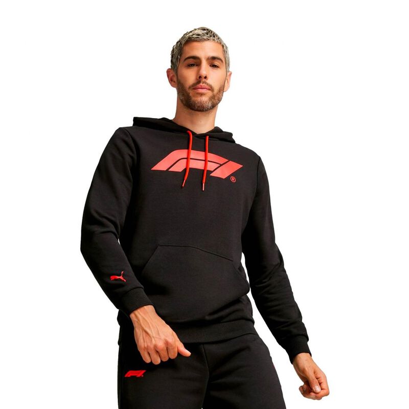 Sudadera Puma F1 Ess Logo Para Hombre image number null