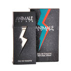 Perfume Animale For Men Edt 100ml
