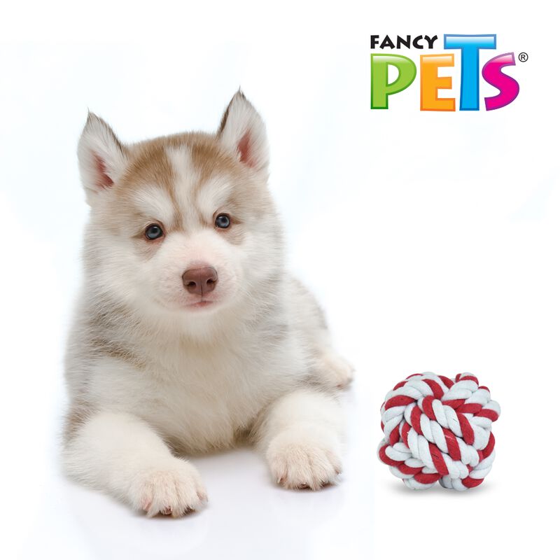 Fancy Pets Bola de Hilo para Perro Colores Surt... image number null