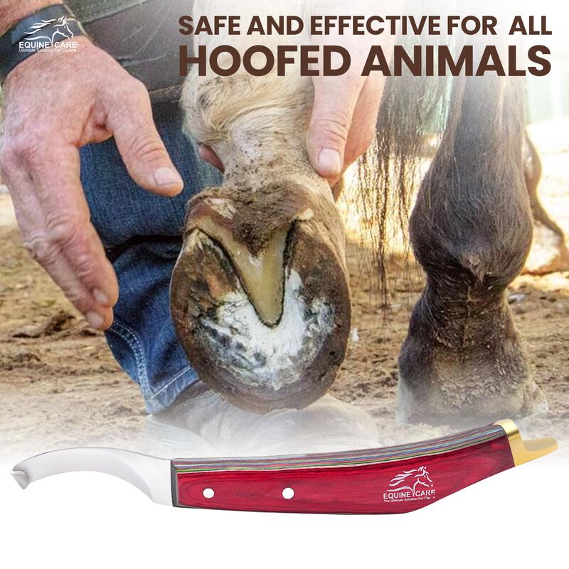 Cuchillo De Herrador Equine Care Para Diestros ... image number null